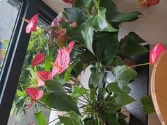 -章氏(广粤路店)