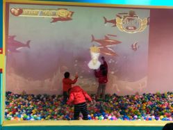 -恐龙探索乐园(磁器口店)