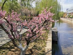 -元大都城垣遗址公园