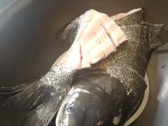 -姥家大锅台水库渔家