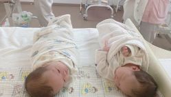 -海豚湾高端月子会所(黄浦店)