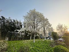 -春晖园度假酒店温泉