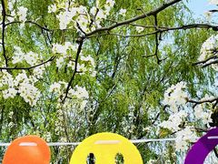 -国际非物质文化遗产博览园