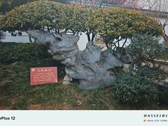 -无锡梅园公园