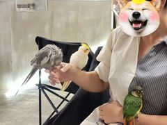 -吾叁·吉趣鸟咖(万科店)