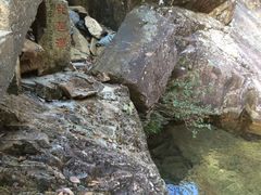 -花岩国家森林公园