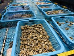 -天然居·漳港海鲜·海景餐厅(南澳总店)