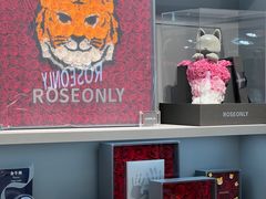 -ROSEONLY诺誓(国际广场购物中心店)