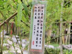 -个园