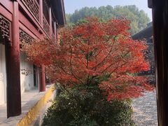 -重元寺香积厨素斋馆