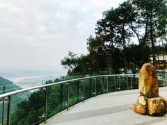 -铁山坪森林公园