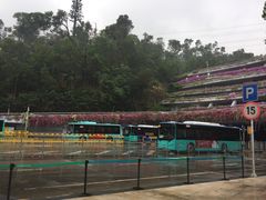 -深圳仙湖植物园-停车场