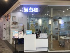 -猫冇咖·家门口的撸猫馆(大融城店)