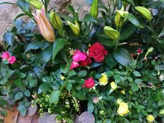 -真爱中国餐馆·年华店(朱雀大街店)