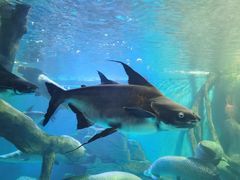 -多彩贵州城极地海洋世界