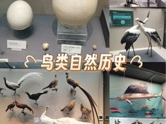 -天津自然博物馆