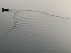 -东湖公园