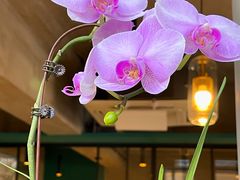 -十一咖啡(青年大街工厂店)