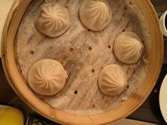 -上海和平饭店茉·莉酒廊 Jasmine Lounge