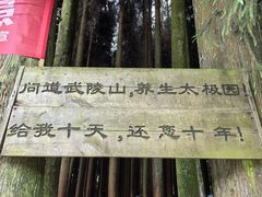 -武陵山森林公园