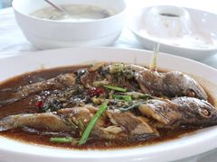 咸菜花菇鱼-丰收渔港饭店(嵊泗店)
