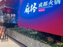 -麻路成都火锅(柏威年店)