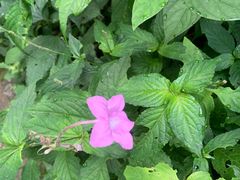 -天津盘山风景名胜区