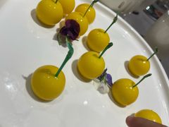 樱桃栗子-燕春楼(海河华鼎店)