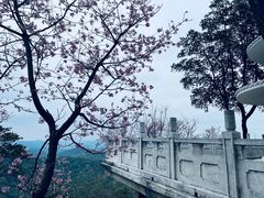 -广州市白云山风景名胜区