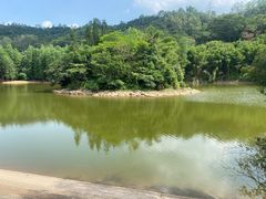 -滴水岩森林公园