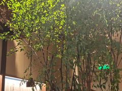 -RUXU入续糖水铺与包(卓悦中心店)