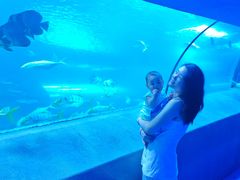 -太平洋海底世界