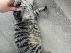 -周记热干面豆皮大王(桃花东街店)