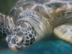 -石林冰雪海洋世界