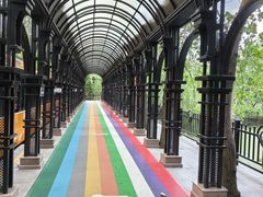 -合肥滨湖国家森林公园