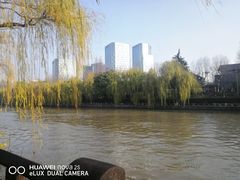 -运河游船(武林门码头)