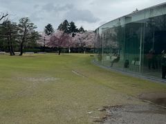 -金泽21世纪美术馆