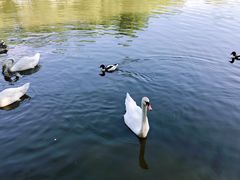 -石家庄市动物园