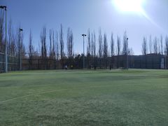 -中关村软件园智云足球场