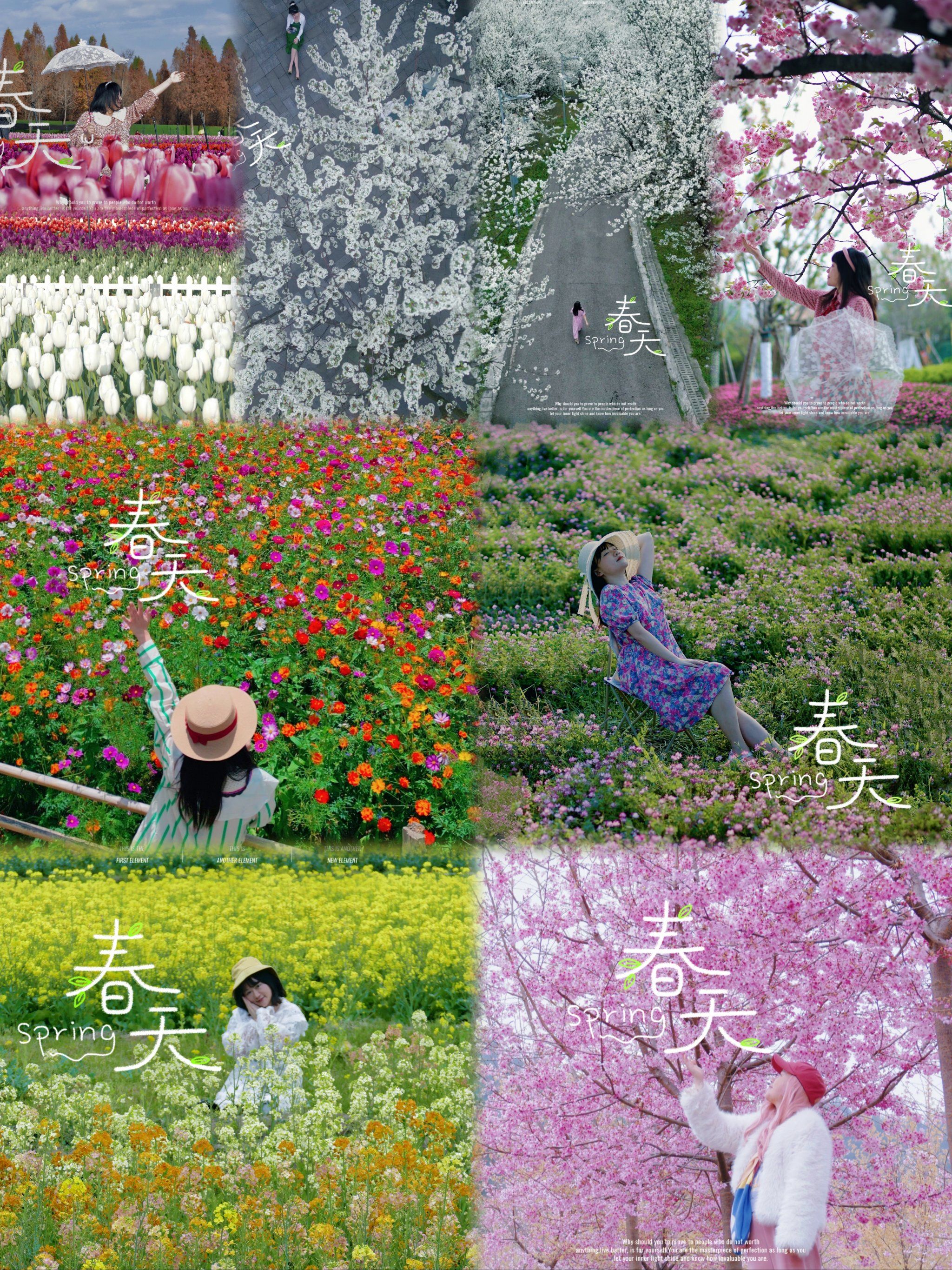 贵阳赏花攻略及花期合集:百花齐放的春天