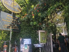 -Fern Forest Cafe