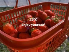 -万源龙顺度假庄园生态观光园