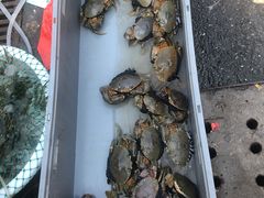 -芦潮港集贸市场