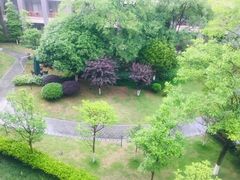 -成都安仁福朋喜来登酒店