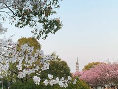 -白塔公园-儿童游乐园