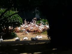 -九龙公园