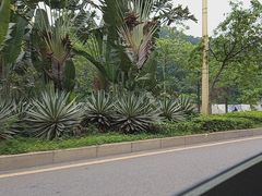 -威远炮台