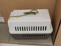 -瑞派康怡24h宠物医院·犬猫医疗中心·微创绝育(瑞景分院)