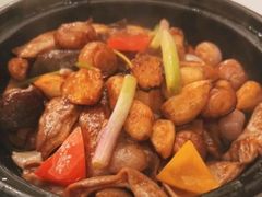 -千灯盛汇·头牌粤菜(致越优城店)