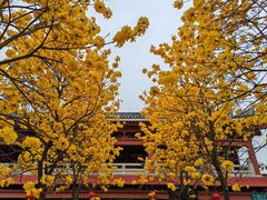 -光孝寺